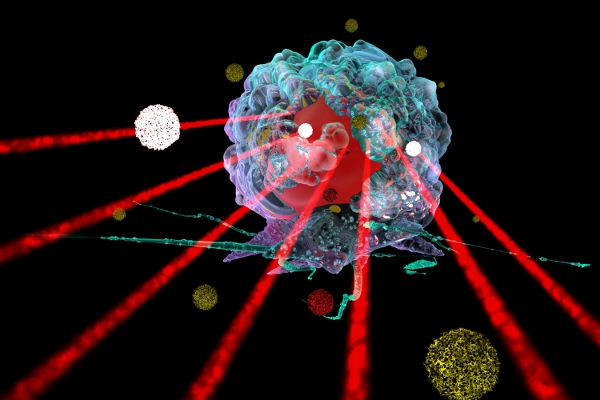 Nanoparticle cancer treatment Nanoparticle cancer treatment