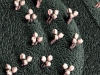 Nanorobot capsula binding sites