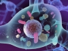 Lipofuscin removing incide neuron