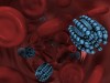 Nanobots acts as artifical leucocytes